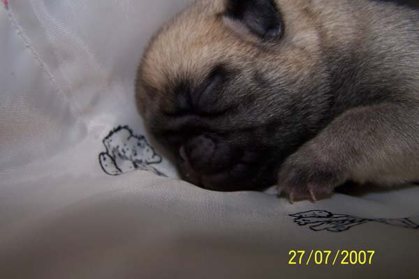 img00019.jpg