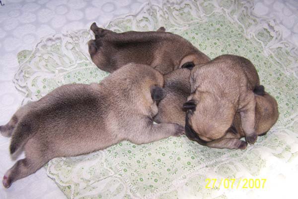 img00027.jpg